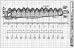 Corte Longitudinal